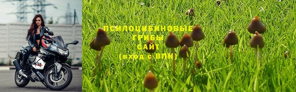 гидра Каменногорск