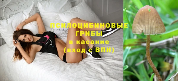 гидра Каменногорск